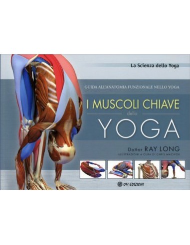 Muscoli chiave dello Yoga Guida...