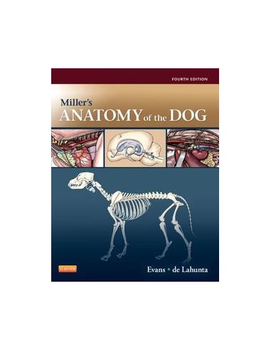 Anatomy of the dog (Miller's) 4/e 2013