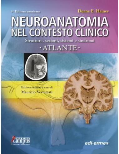 Neuroanatomia nel contesto clinico....