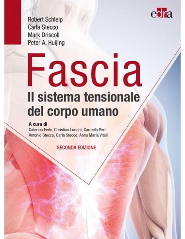 Fascia Il sistema tensionale del...