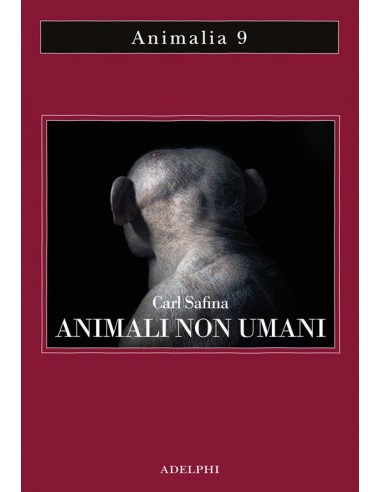 Animali non umani