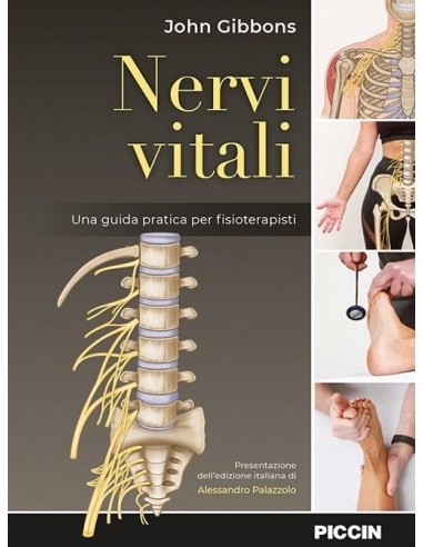 Nervi Vitali Una guida pratica per...